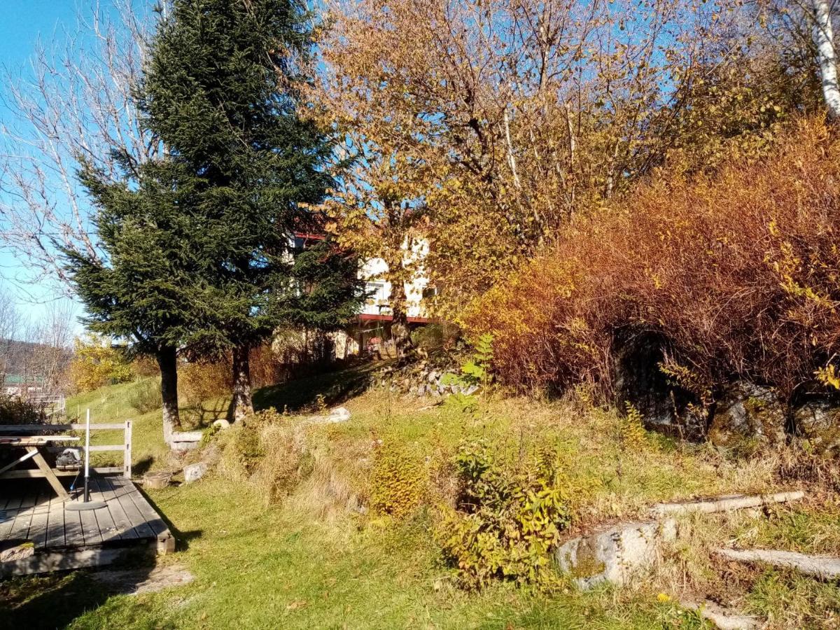 Au Grenier Du Lac Gerardmer Exterior photo