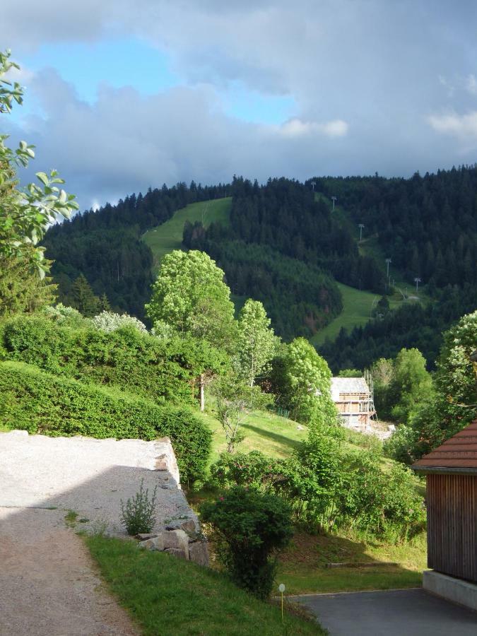 Au Grenier Du Lac Gerardmer Exterior photo
